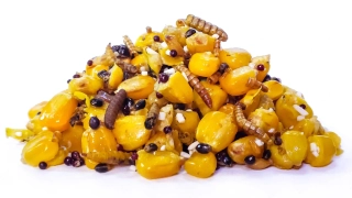 Partikl Mix BioMussel (Mušle / Seafood / Hmyz) 